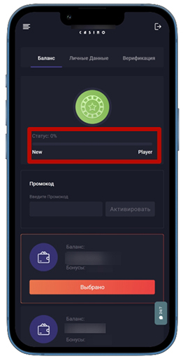 Статус в программе лояльности